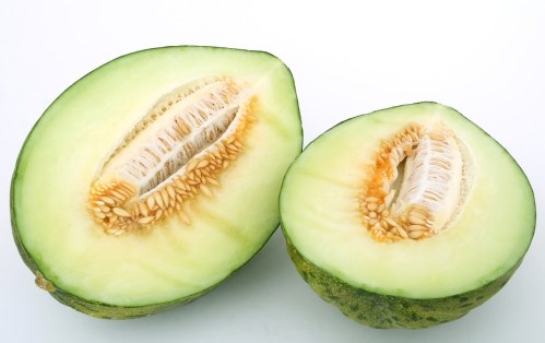 melon