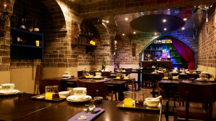 bff0796b-1ee7-4f21-aea8-6f328361189f-cutterandsquidge_potion-room-11-high