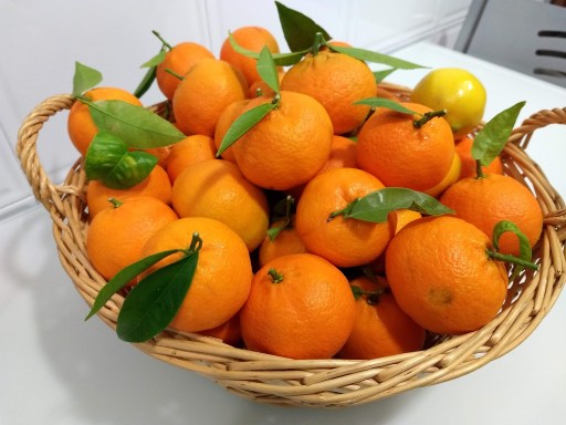 IMG_20191203_125552943