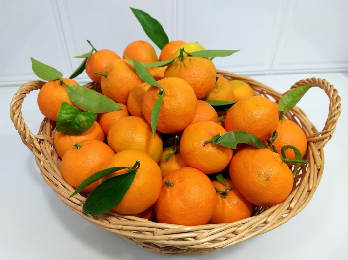 Mandarinas ecológicas recién cosechadas