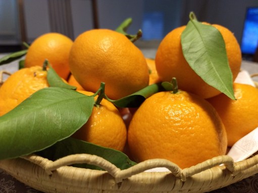 IMG_20191127_141846891