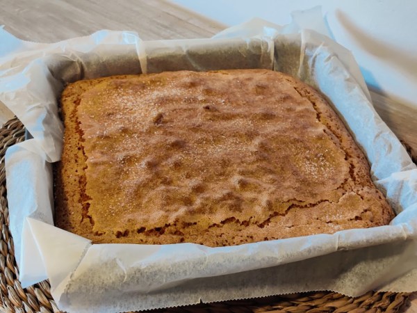 bizcocho de naranjas