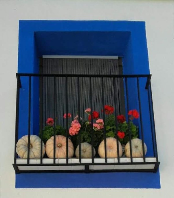 Calabaza asada Calabaza asada