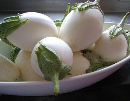 berenjenas-blancas-480x375